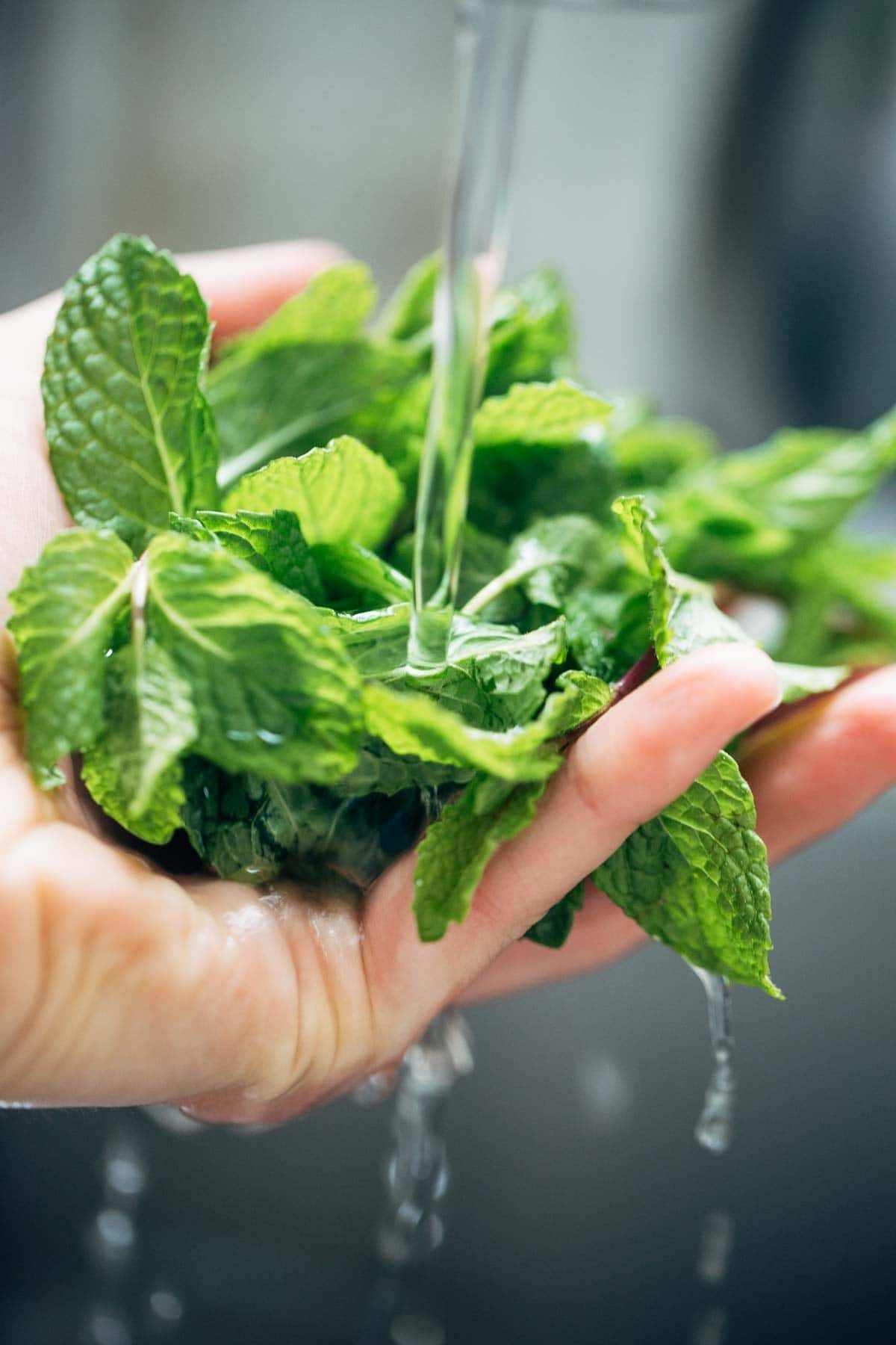 Mint leaves under running water.